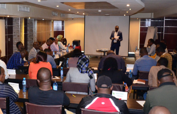 Project Leadership & Governance